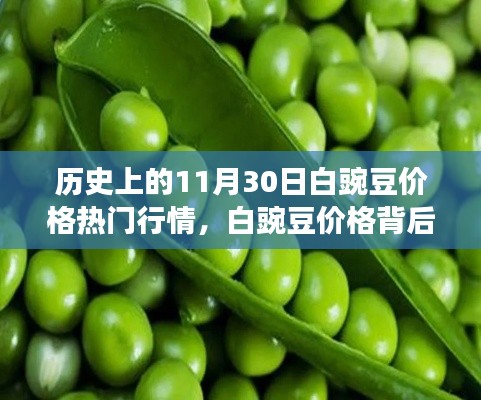 探寻自然美景背后的故事,揭秘历史白豌豆价格行情之旅
