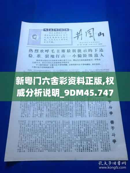 新粤门六舍彩资料正版,权威分析说明_9DM45.747-1