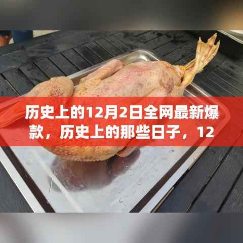 历史上的那些日子,揭秘12月2日爆款美景之旅的治愈启程
