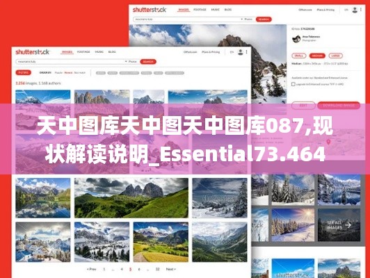 天中图库天中图天中图库087,现状解读说明_Essential73.464