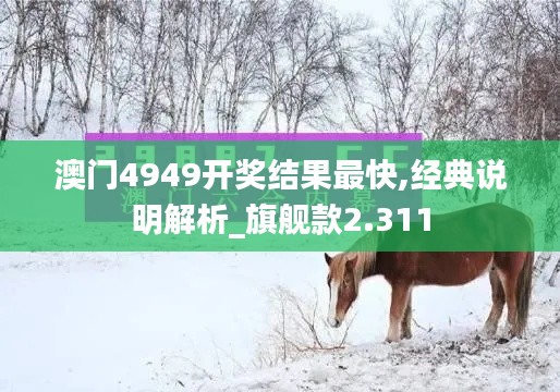 澳门4949开奖结果最快,经典说明解析_旗舰款2.311