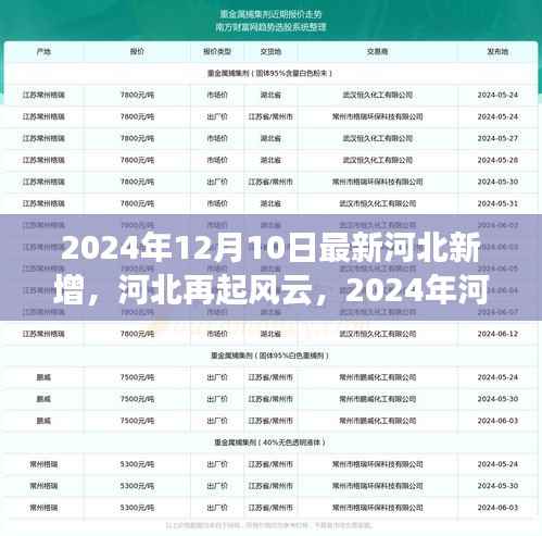 河北再起风云,揭秘2024年河北新增事件纪实