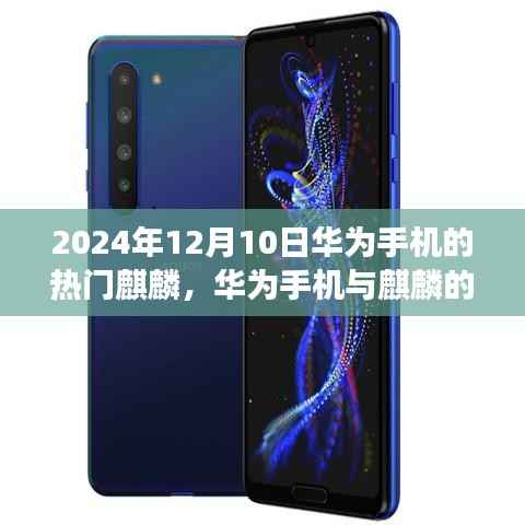 华为热门麒麟与冬日温情故事,华为手机与麒麟的奇妙日常