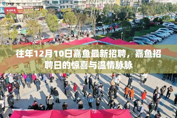 嘉鱼招聘日惊喜连连,温情脉脉助力求职季