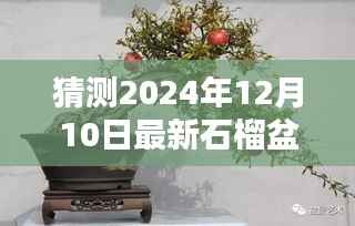 揭秘石榴盆景智能图像生成系统,预测未来盆景新风尚,独家体验报告(附最新盆景图片)