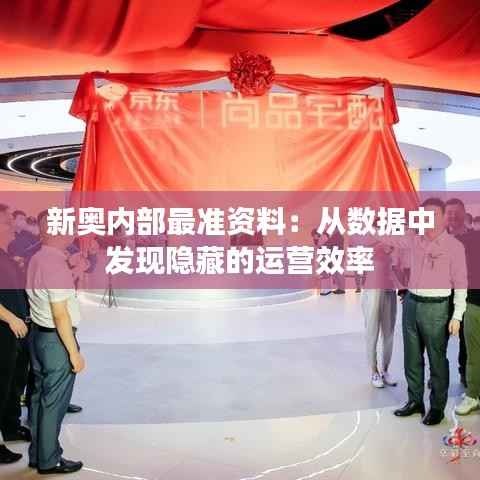 新奥内部最准资料:从数据中发现隐藏的运营效率