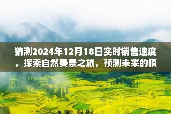 『探索未来销售奇迹,预测2024年实时销售速度,心灵之旅感受自然美景的魅力』