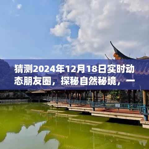 探秘自然秘境的心灵之旅猜想与期待,朋友圈实时动态预测(2024年12月18日)