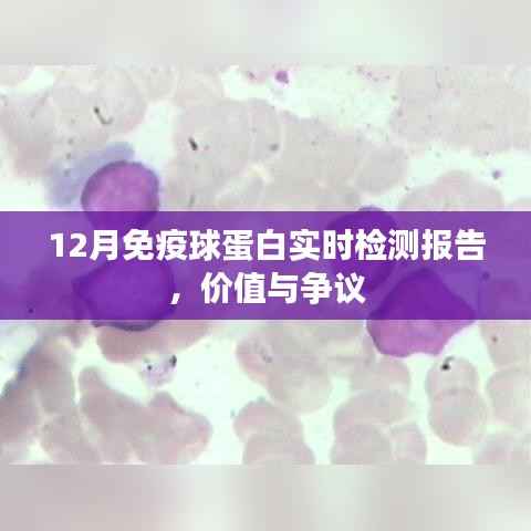 12月免疫球蛋白实时检测,报告价值与争议探讨