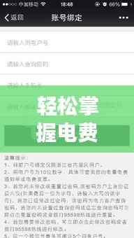电费查询轻松上手,12月22日实时电费电话查询步骤详解