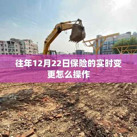往年12月22日保险实时变更操作指南