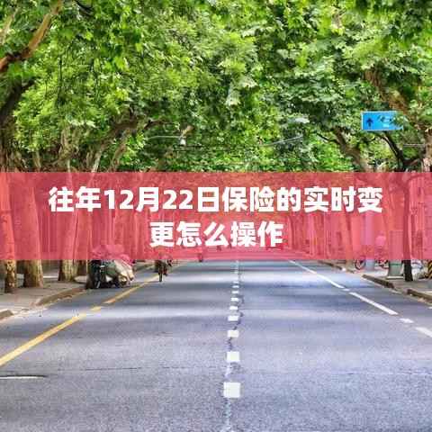 往年12月22日保险实时变更操作指南
