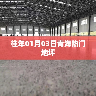 青海历年元旦后三日热门地坪活动概览