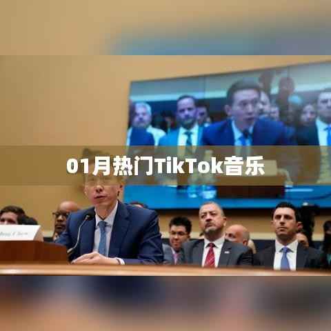 TikTok热门音乐一月盘点