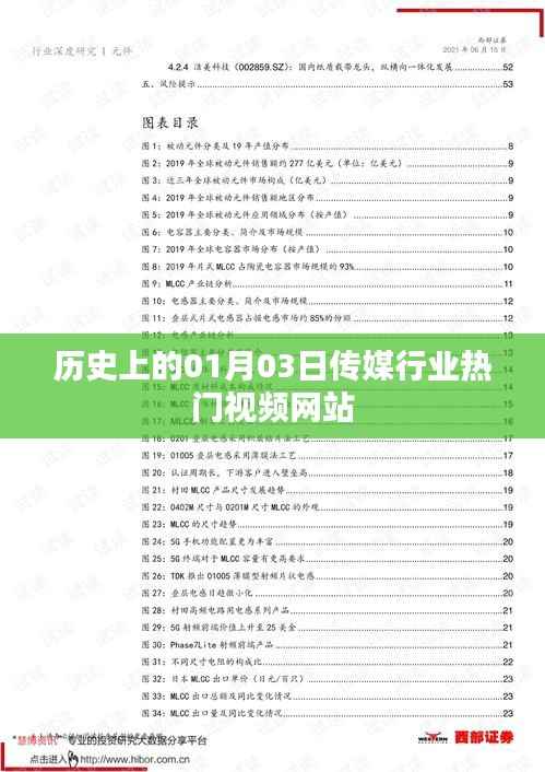 传媒行业热门视频网站发展史,一月三日节点回顾