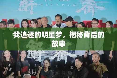 我追逐的明星梦,揭秘背后的故事