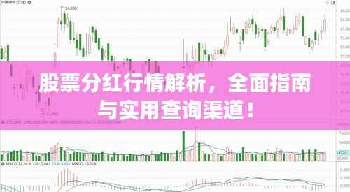 股票分红行情解析,全面指南与实用查询渠道!