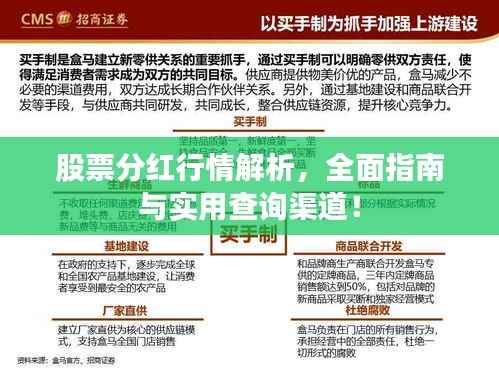 股票分红行情解析,全面指南与实用查询渠道!