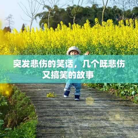 突发悲伤的笑话,几个既悲伤又搞笑的故事