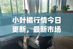 小叶橘行情今日更新,最新市场动态一网打尽!