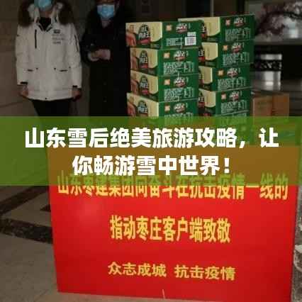 山东雪后绝美旅游攻略,让你畅游雪中世界!