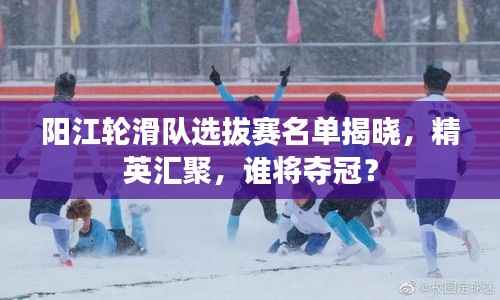 阳江轮滑队选拔赛名单揭晓,精英汇聚,谁将夺冠?