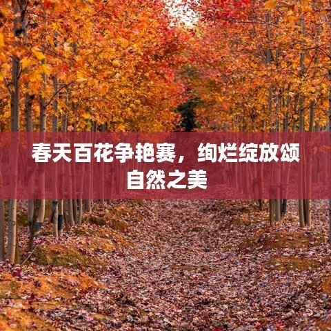 春天百花争艳赛,绚烂绽放颂自然之美