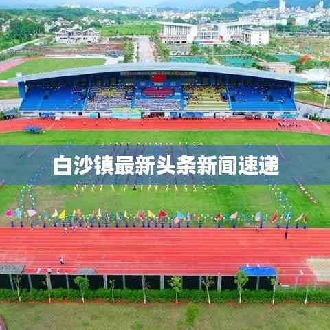 白沙镇最新头条新闻速递