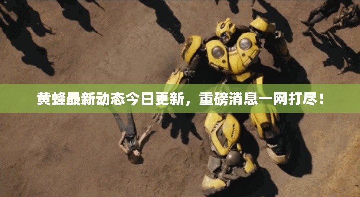黄蜂最新动态今日更新,重磅消息一网打尽!