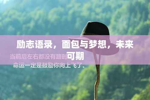 励志语录,面包与梦想,未来可期