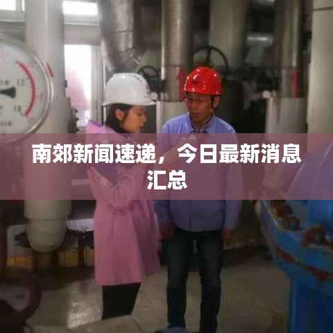 南郊新闻速递,今日最新消息汇总