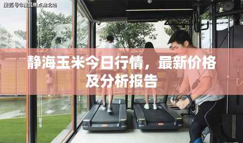 静海玉米今日行情,最新价格及分析报告