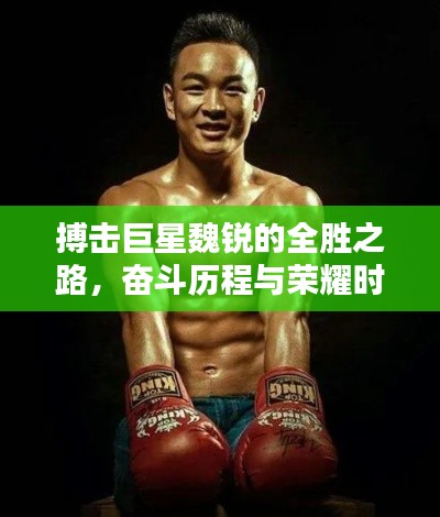 搏击巨星魏锐的全胜之路,奋斗历程与荣耀时刻