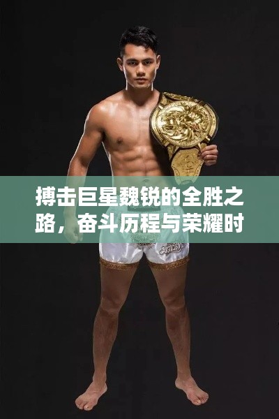 搏击巨星魏锐的全胜之路,奋斗历程与荣耀时刻