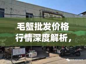 毛蟹批发价格行情深度解析,最新市场动态!