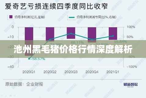 池州黑毛猪价格行情深度解析