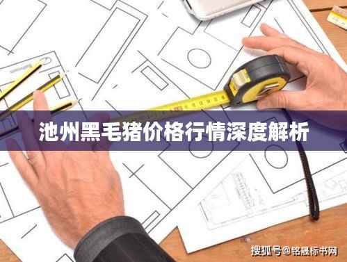 池州黑毛猪价格行情深度解析