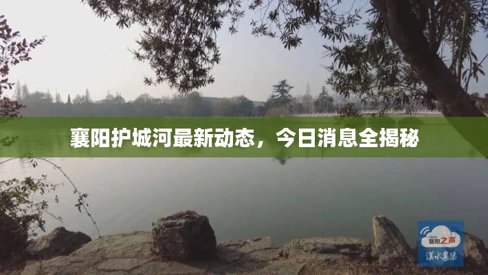襄阳护城河最新动态,今日消息全揭秘