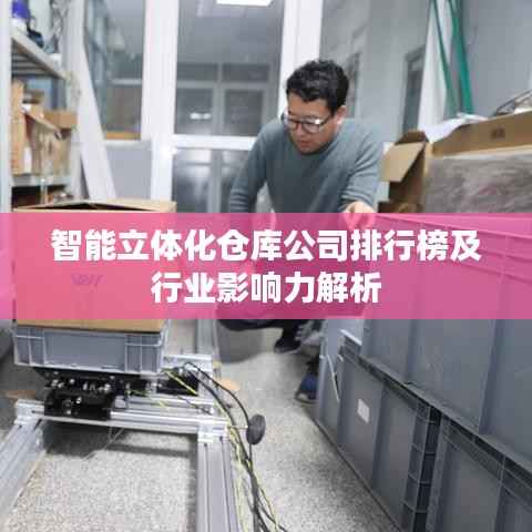 智能立体化仓库公司排行榜及行业影响力解析