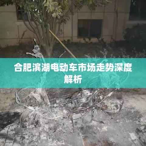 合肥滨湖电动车市场走势深度解析