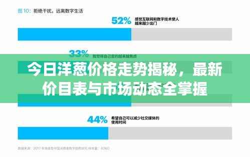 今日洋葱价格走势揭秘,最新价目表与市场动态全掌握