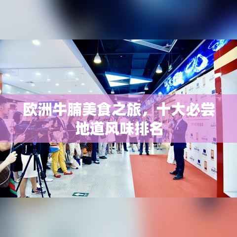 欧洲牛腩美食之旅,十大必尝地道风味排名
