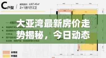大亚湾最新房价走势揭秘,今日动态分析报告