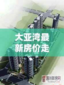 大亚湾最新房价走势揭秘,今日动态分析报告