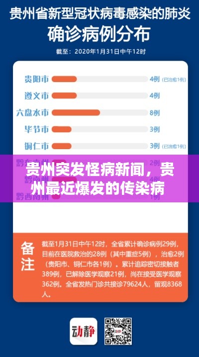 贵州突发怪病新闻,贵州最近爆发的传染病