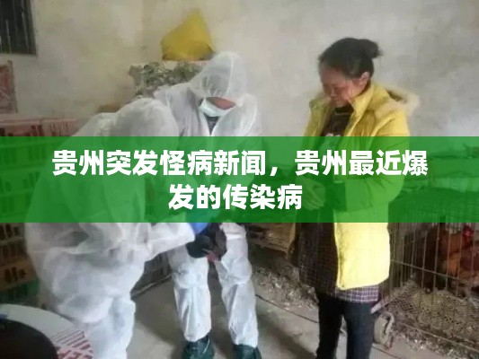 贵州突发怪病新闻,贵州最近爆发的传染病