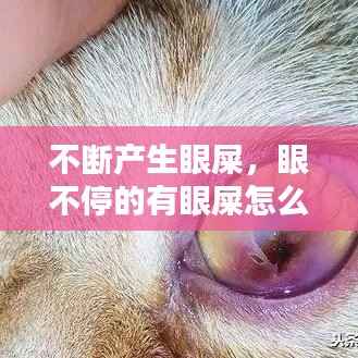 不断产生眼屎,眼不停的有眼屎怎么回