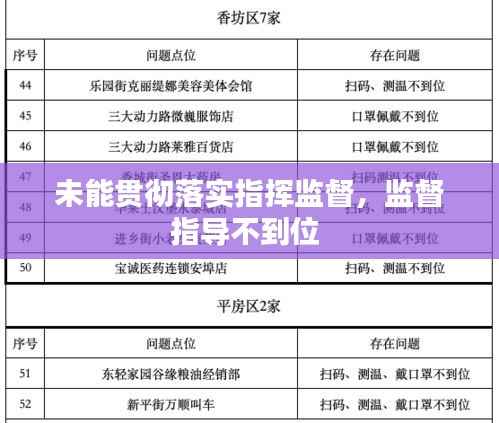 未能贯彻落实指挥监督,监督指导不到位