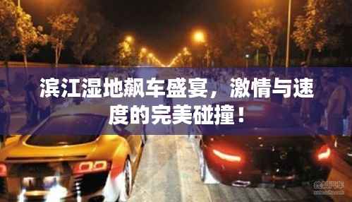 滨江湿地飙车盛宴,激情与速度的完美碰撞!