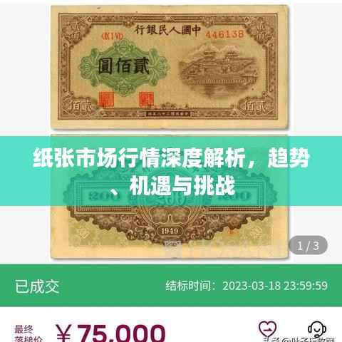 纸张市场行情深度解析,趋势、机遇与挑战